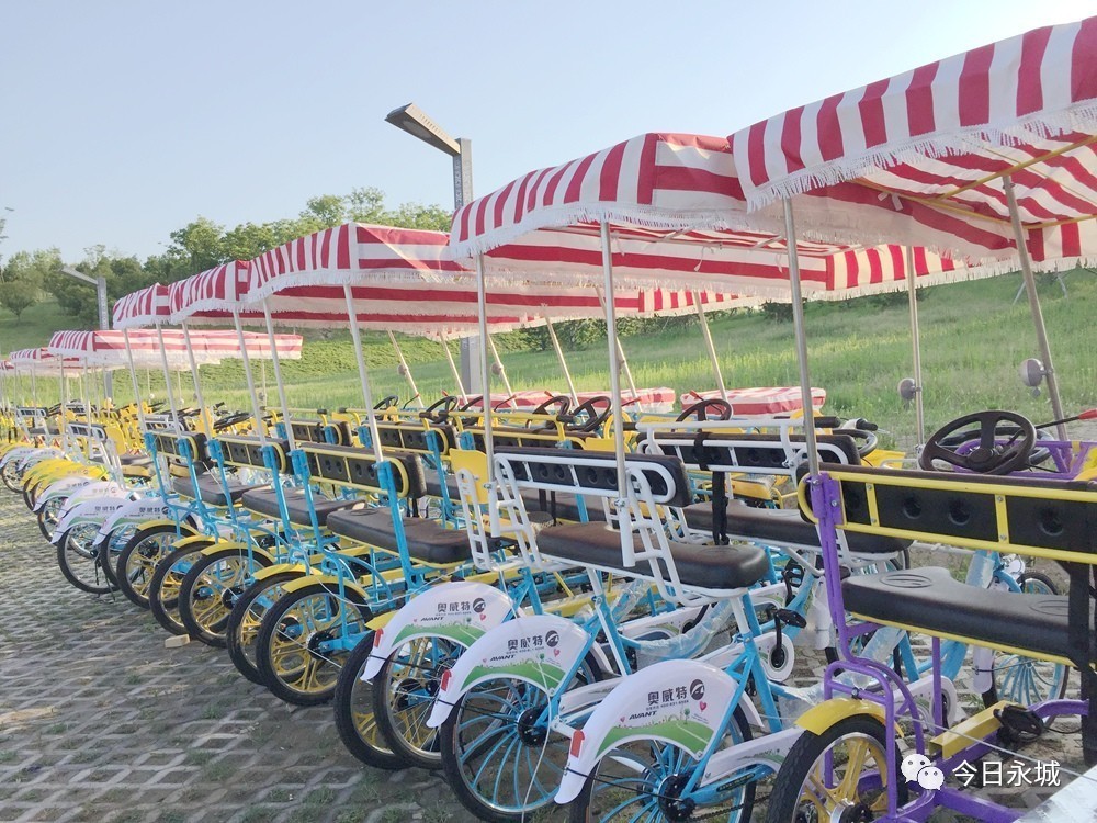 永城日月湖景区有观光自行车啦,周末就去试试!