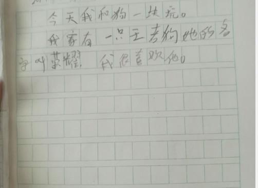 小学生的日记截图      小学生的日记截图   网友们,你看了