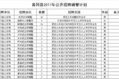 青冈招聘_2020黑龙江绥化市青冈县医疗招聘 中医学 事业有成班(5)