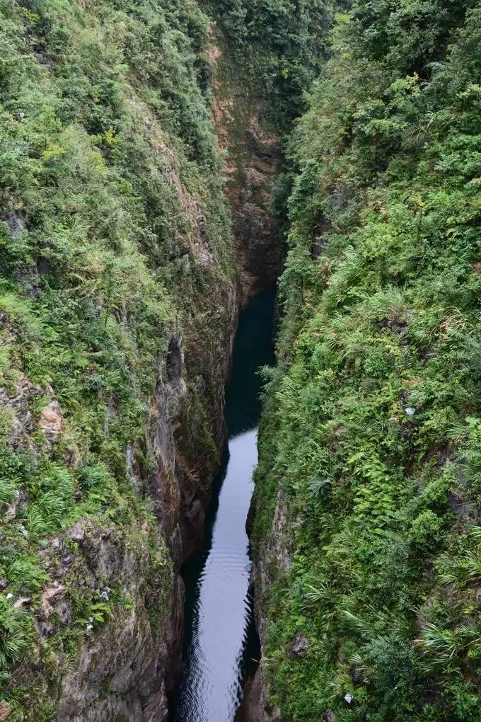 鹤峰县有多少人口_鹤峰人去屏山