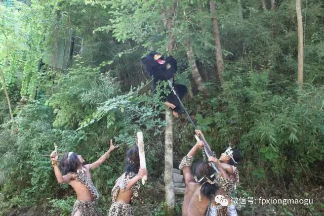 "野人部落"演出