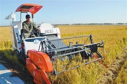 肇源县人口_大庆肇源县著名旅游景点