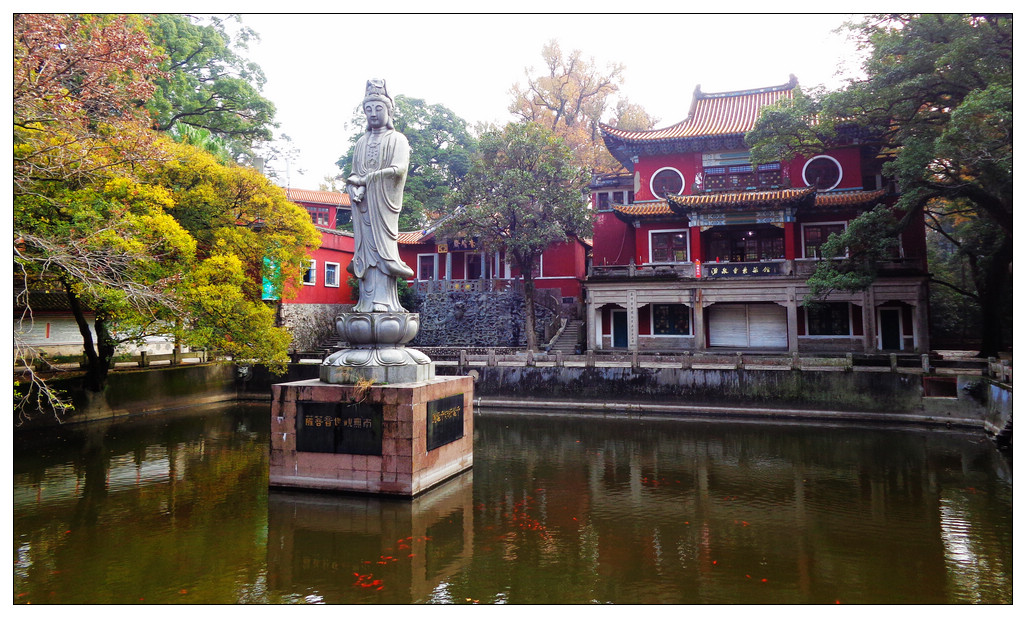 鼓山涌泉寺夏令营招募|来福州的世外之地修炼吧!