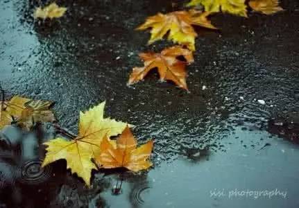 夏日读诗|唐明皇秋夜梧桐雨