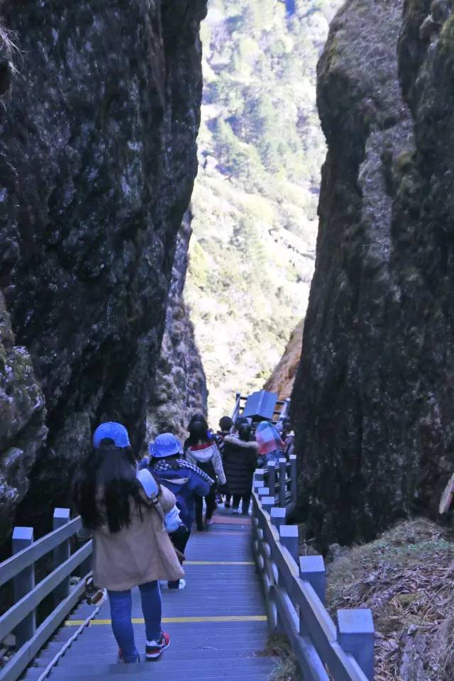 赶紧去玩轿子雪山免门票啦只剩8天快去撒欢