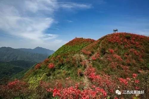 江西阳明山国家森林公园是国家aaaa级风景区,全国农业旅游示范点,中国