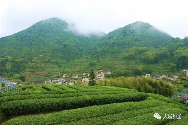 县高陂陶瓷工业生产基地                               西岩茶乡的