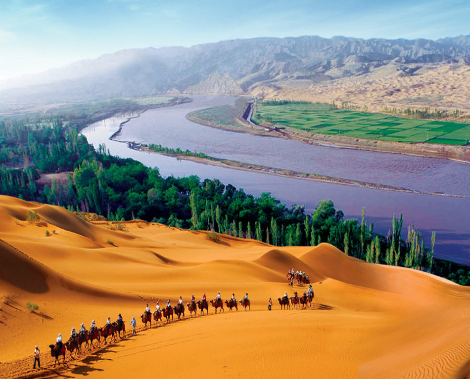 旅游体验师招募,沙坡头免费邀您一起探索沙漠星空!