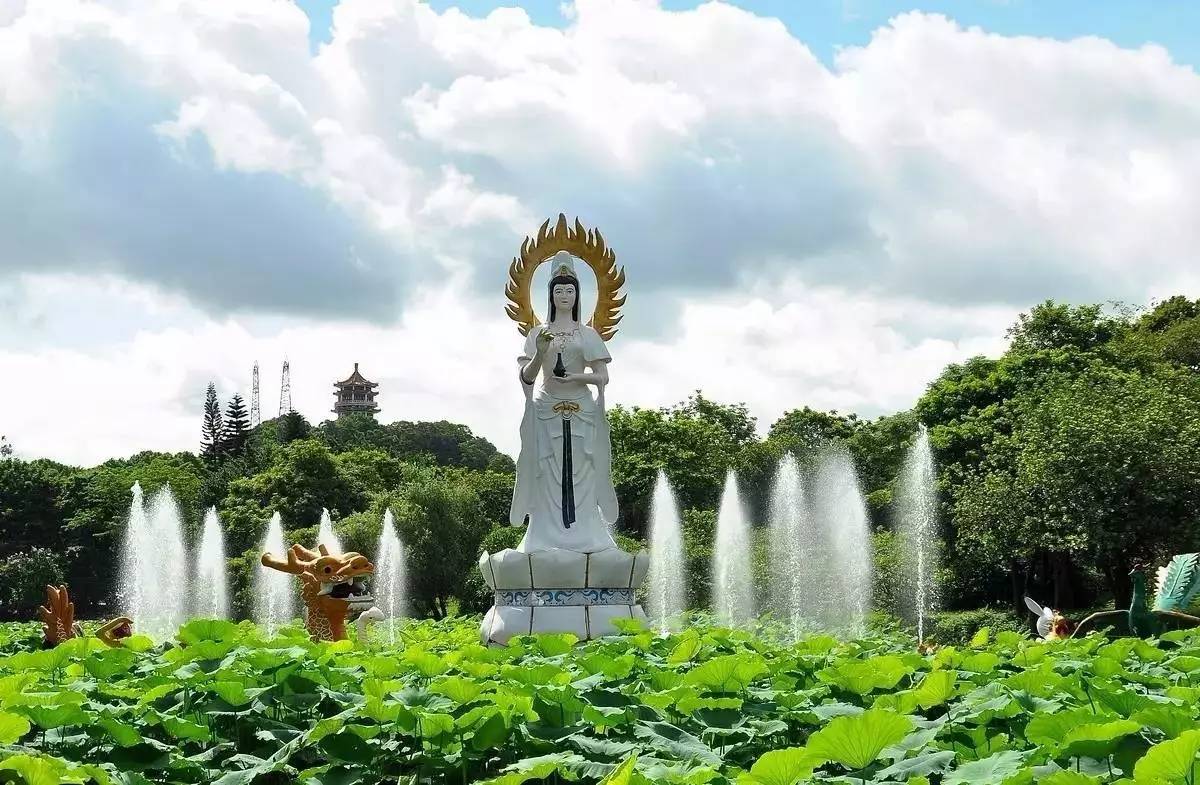 中山这个著名景点加装了这些东西后,街坊们饭后散步又