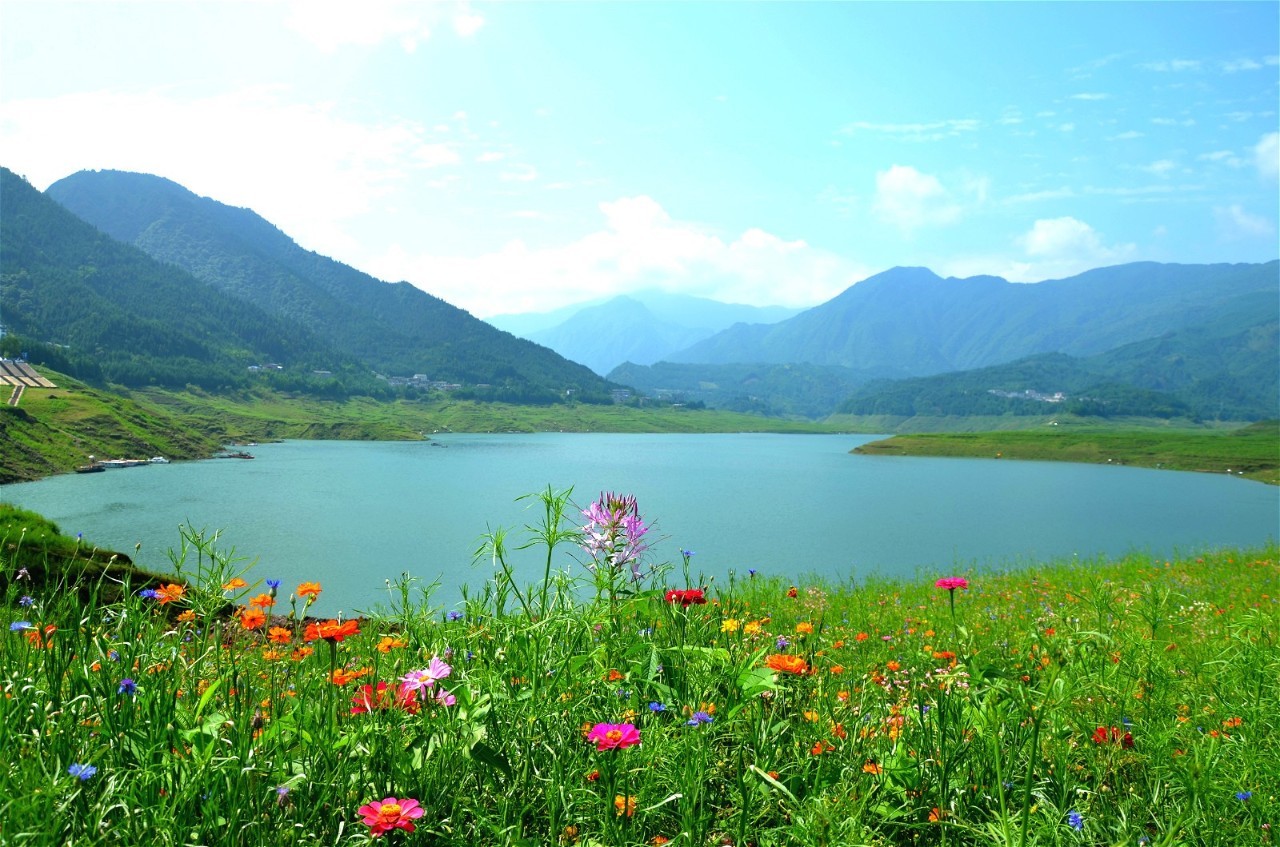 洪雅居然藏了一个若尔盖,花海,湖泊,高山,草甸.