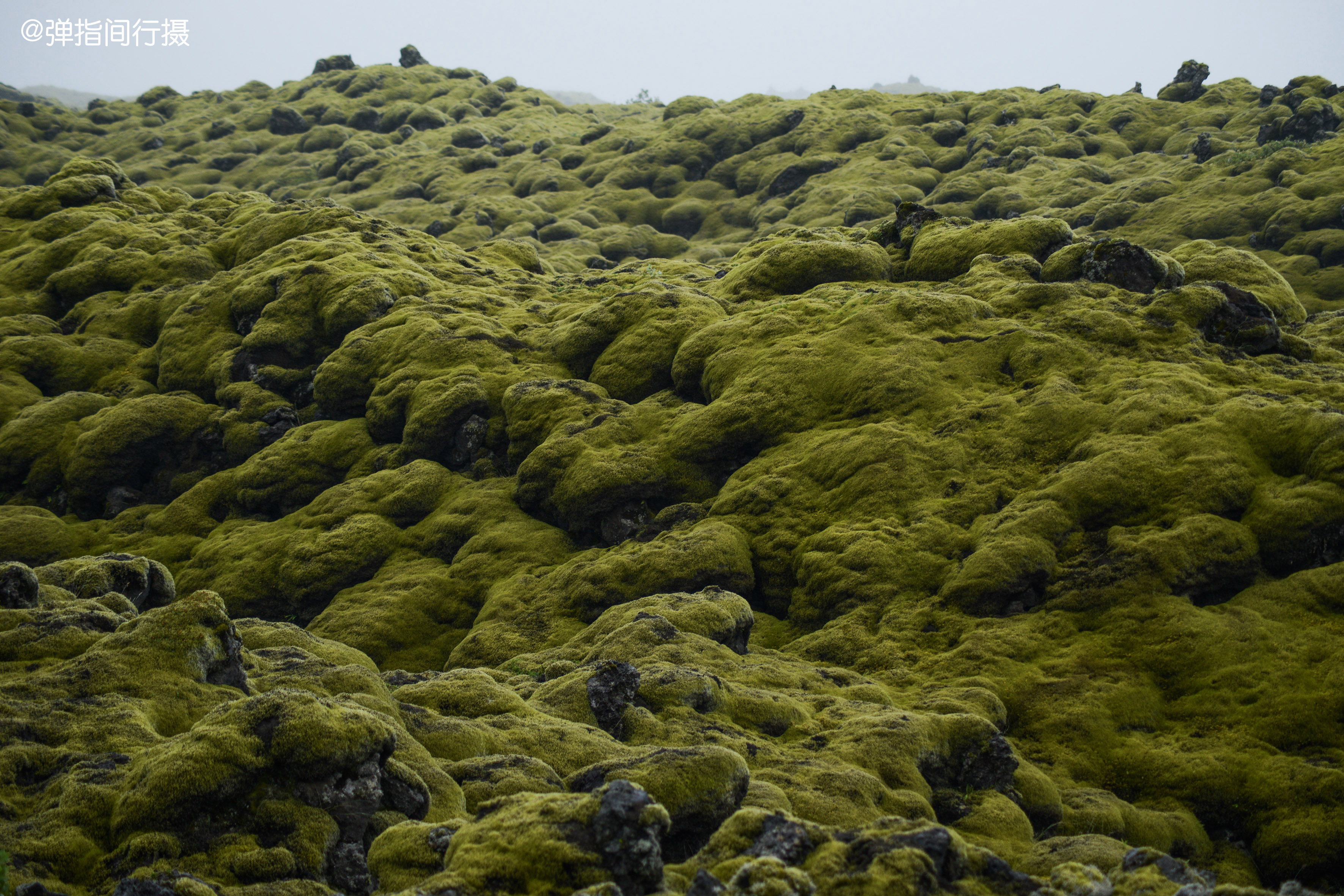 冰岛奇景被地震毁灭的村庄渐渐被诡异苔原吞蚀