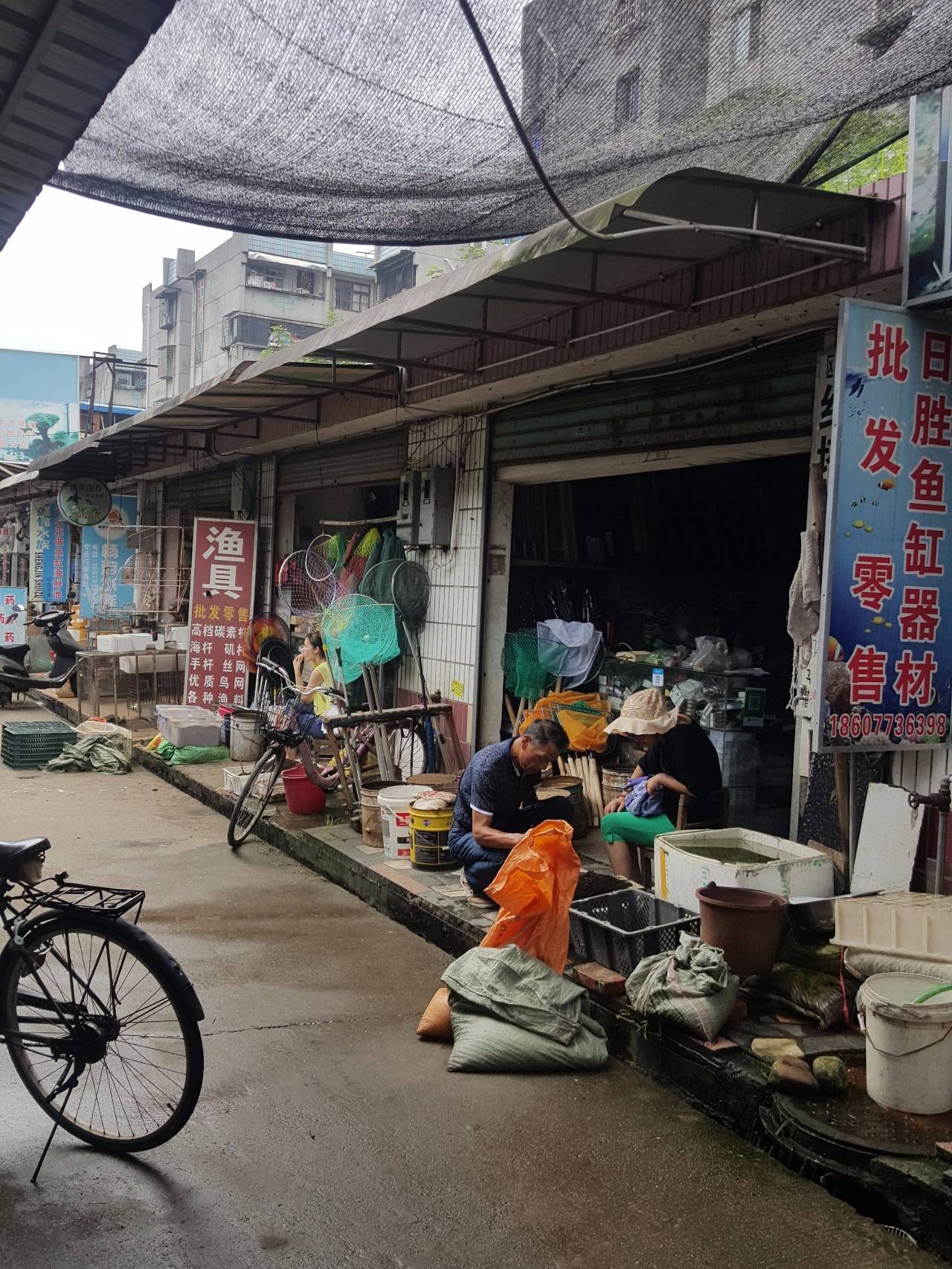 桂林花鸟市场,我们不说再见!