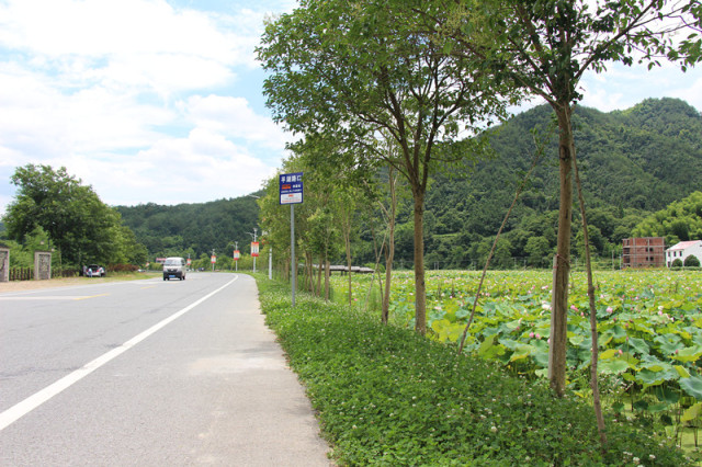 浦江县檀溪镇平湖村