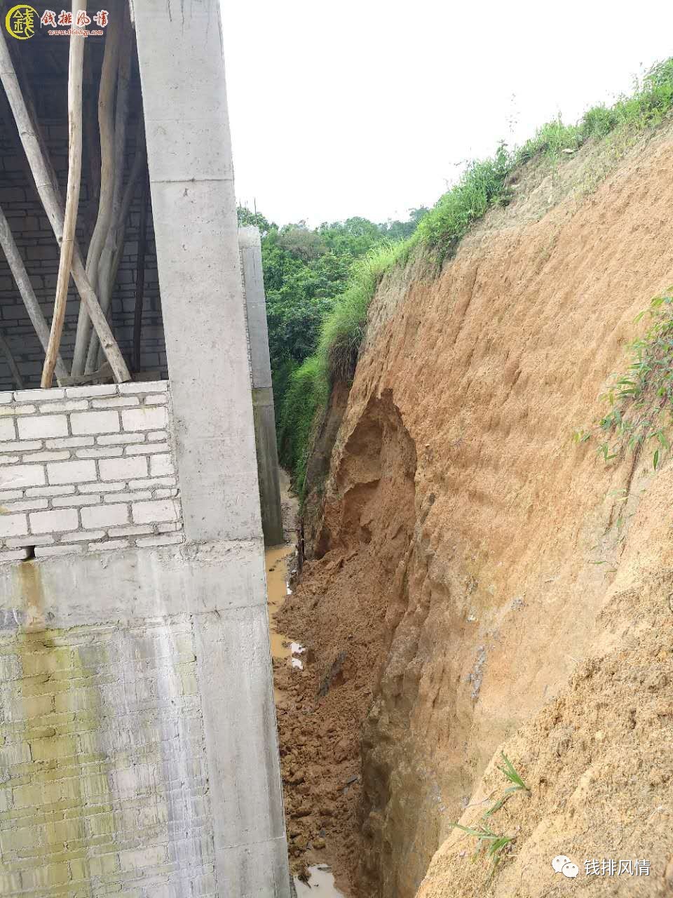 信宜北界常住人口_信宜北界中心小学图片