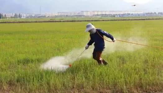 头条▌经济日报:我国化肥农药的使用量触目惊心,土壤贡献率比40年前