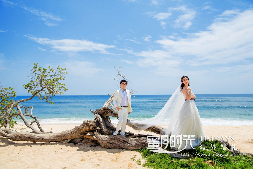 海滩婚纱照片_海滩礁石飘纱婚纱照片(2)