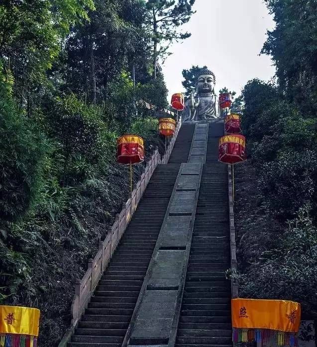 老峨山景点也多,有金顶,舍身崖,夫妻树,仙女池,回音壁,还有长在崖边的