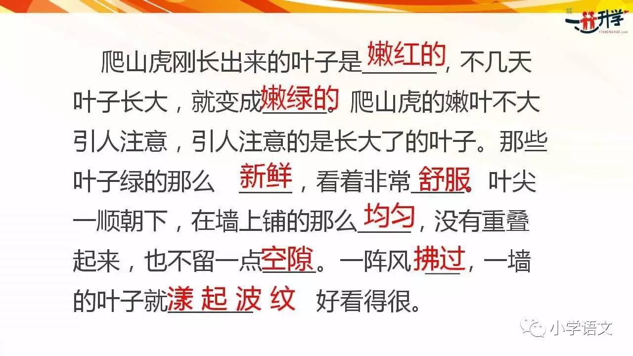 小学语文对话框留言"人教版四年级上册爬山虎的脚"即可收到文章ppt