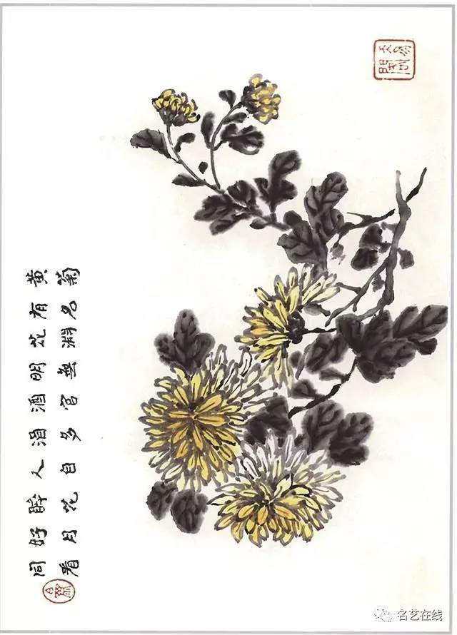 芥子园画谱——《菊谱》