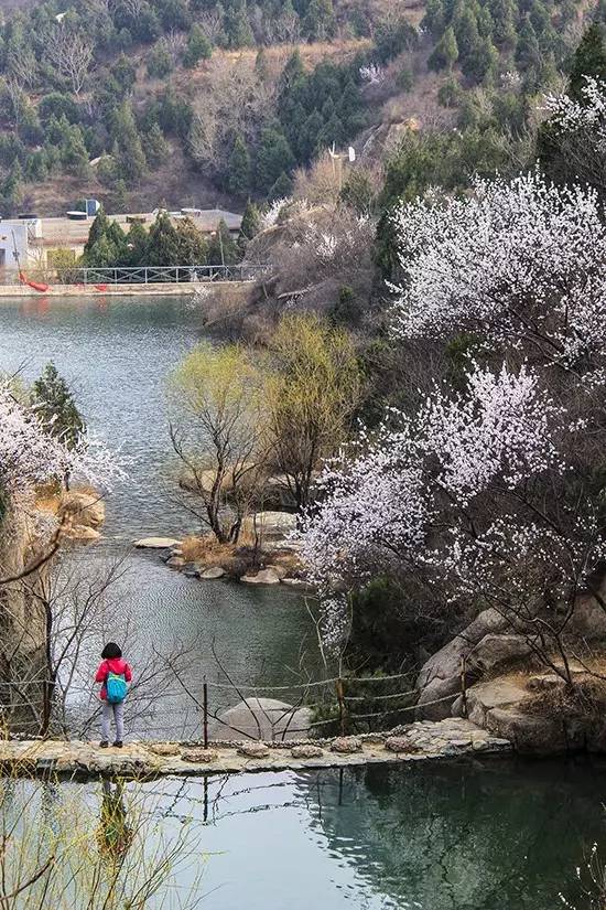 我的家乡是昌平,这里是《北京后花园》,它坐落在阳坊镇白虎涧村西.