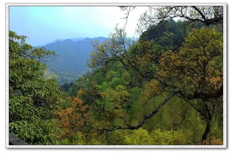 旅游 正文  金城山森林公园,位于四川省境内,地处岳池,高坪,蓬安三县