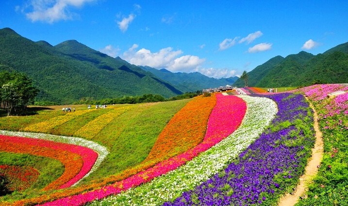 国家森林公园,市级旅游度假区红池坝