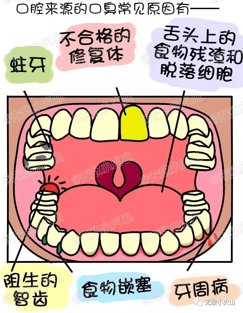 想要清新口气?漫画告诉你口臭的真相!