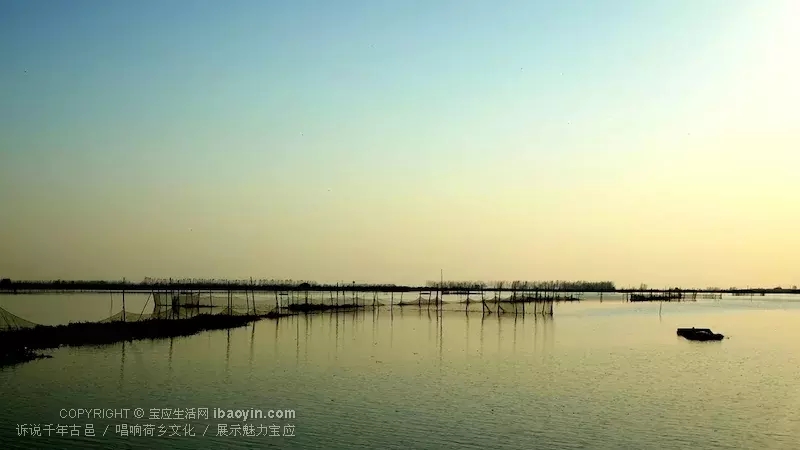 清新隽秀!宝应白马湖随拍大气美景