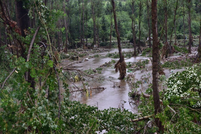 苇河林业局遭遇强降雨 总局迅速组织抢险