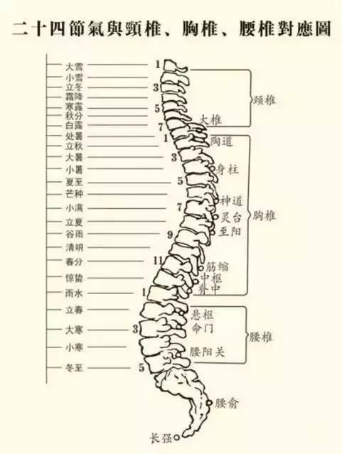 每天在脊柱上所对应部位用太极指调理10～20分钟,或在手部脊柱反射区