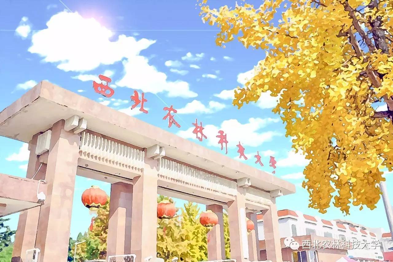 西农所遇 皆成风景 美如画的学校 仿佛生活在仙境 八号教学楼 北校区