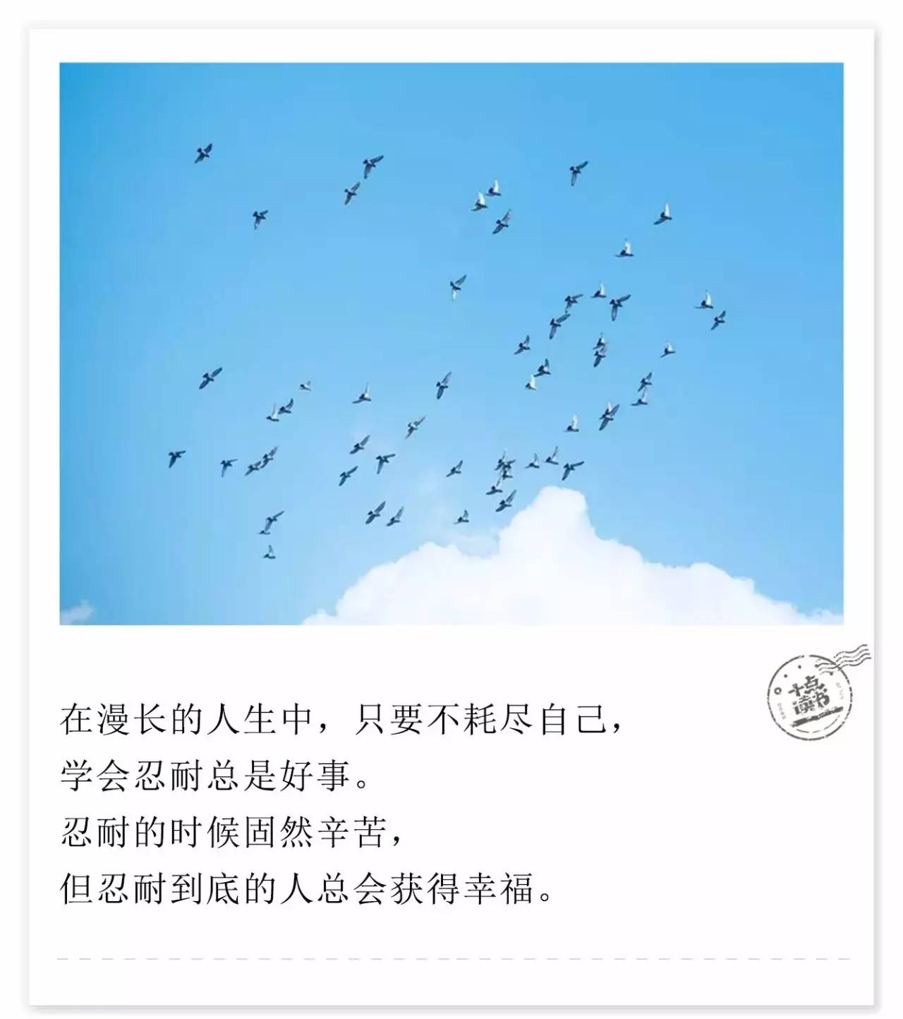 幸福不是努力寻爱，而是安心生活