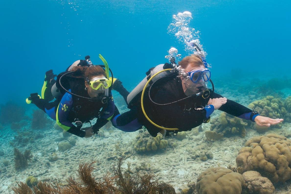 padi 潜水员常用英文对照丨一贴在手潜遍全球