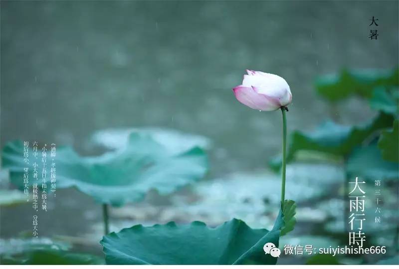 从此五风十雨, 自可三年一日,香寝镇狮蛮.