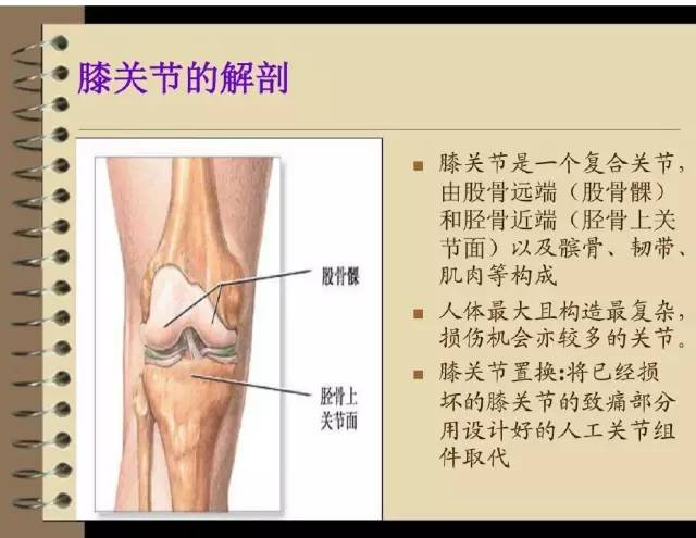 护膝关节套是什么原理_正常膝关节是什么样子(2)