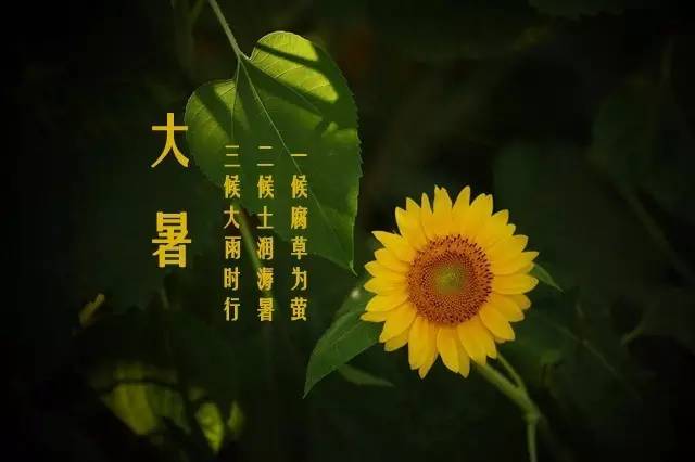 大暑养生,一年中最热的日子终于来啦!养心祛湿双管齐下