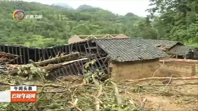 文山走失人口_文山三七图片