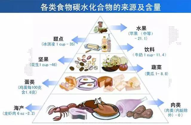 时尚 正文  热量的来源只有三个:碳水化合物,脂肪,蛋白质.