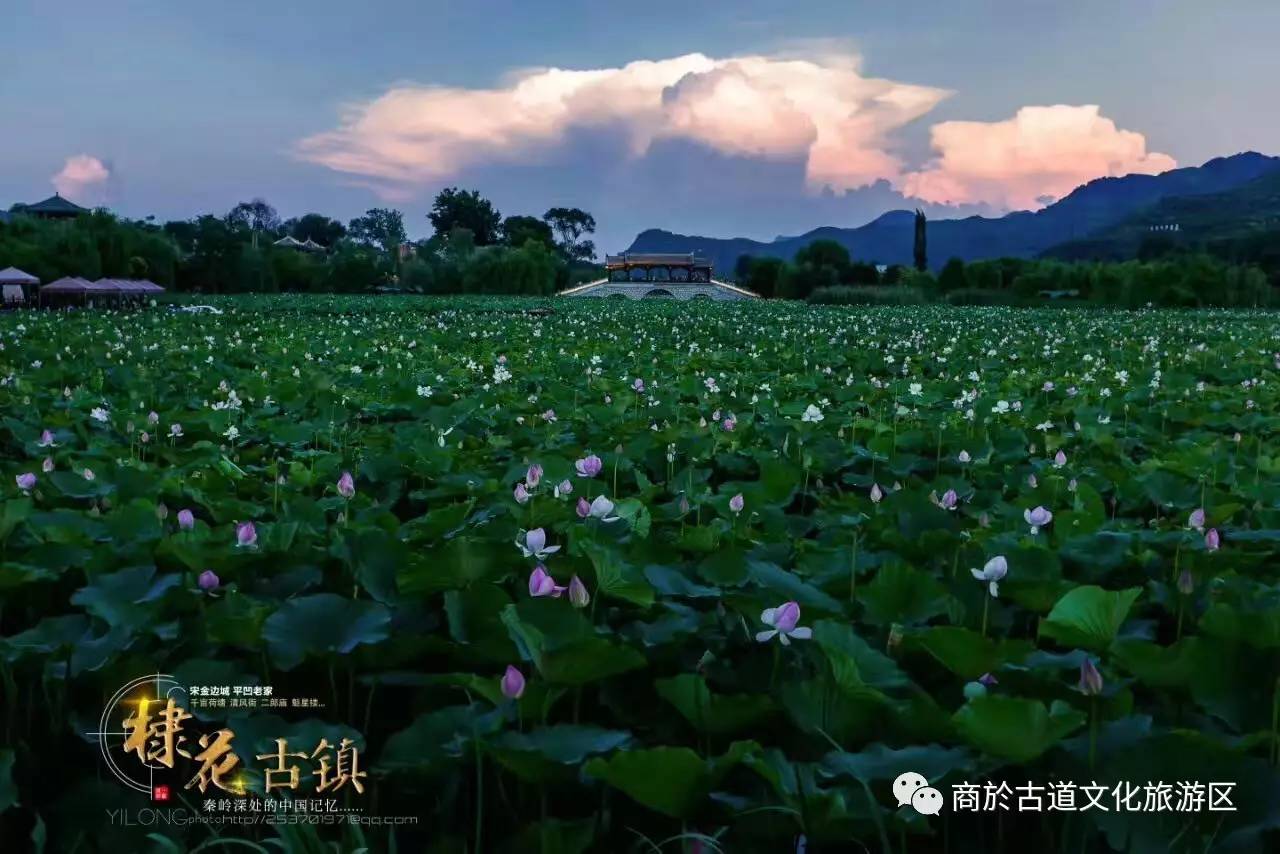 【欣赏】醉人的棣花古镇夜景