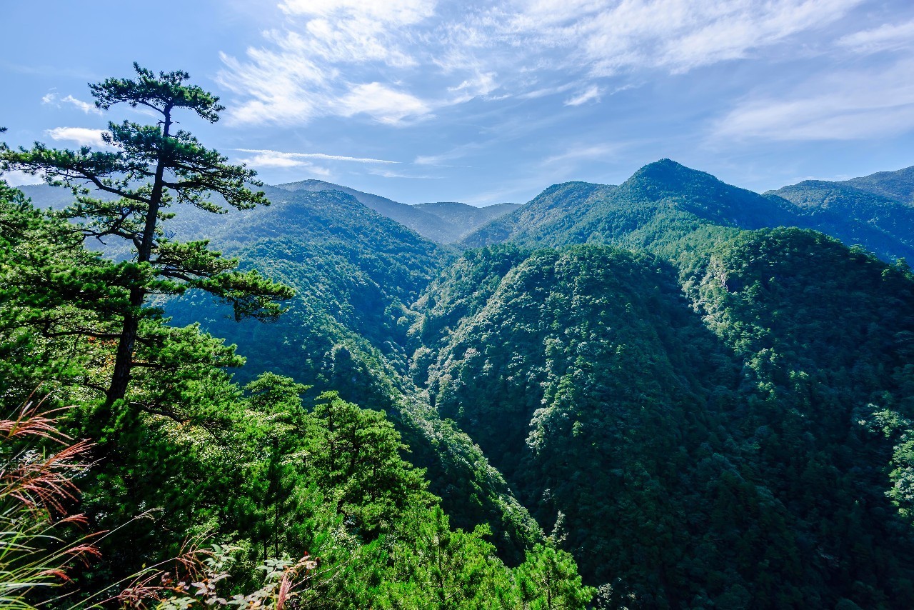 避暑 吸氧 日出 星空 江浙最高峰,这里是龙泉山