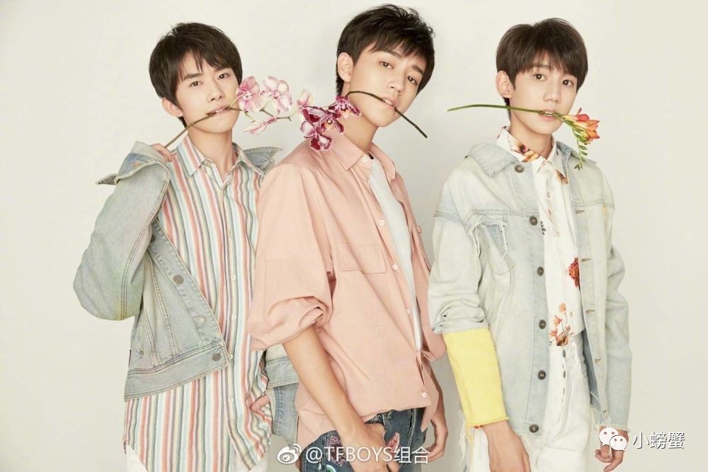 王俊凯(tfboys)四周年花季写真来袭,我去补颗枣