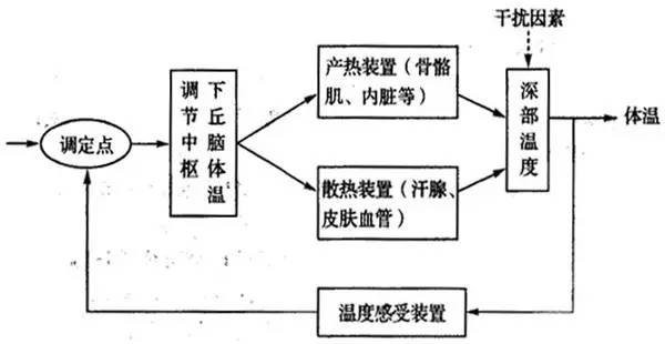 身体发烧的原理_晶晶同学感觉身体不舒服.妈妈用体温计正确为她测体温.常用体温计是根据液