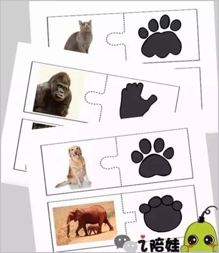素材一共12页,一共23种动物和脚印,妞用120克卡纸打印就行.