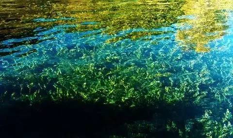 世界上最后的天然碱水螺旋藻,在滇西程海湖和这块曲奇里