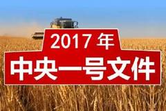 2017年上半年中国农产品电商十件大事