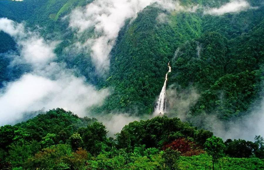 哀牢山有媲美黄山的风景,去了就不想走!