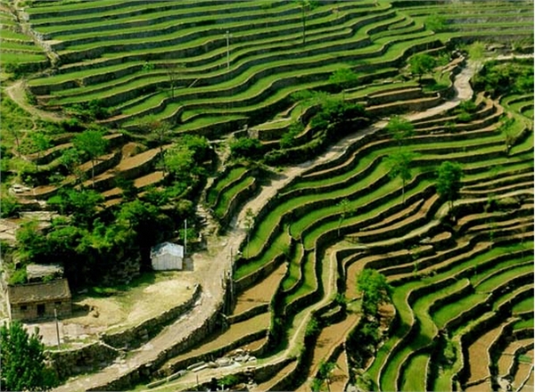 beautiful scenery 王金庄梯田 规律的几何美 邯郸涉县井店镇王金庄