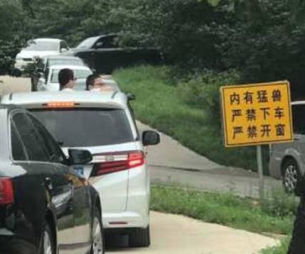 "内有猛兽,严禁下车,严禁开窗"的警示牌就立在这辆车旁.