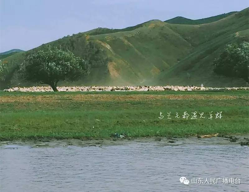 内蒙古民族人口_内蒙古民族大学