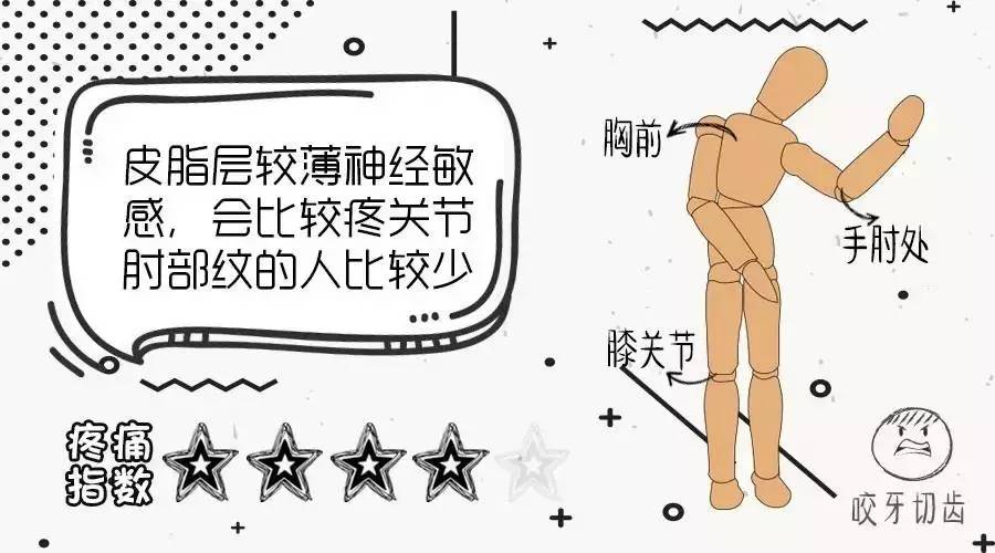 附纹身全身疼痛指数示例图|纹身到底疼不疼?